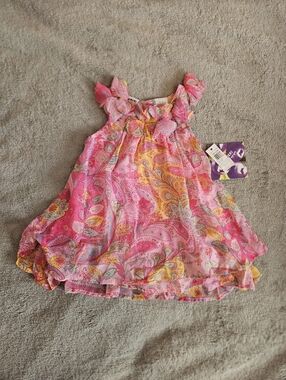 Blueberi Boulevard Pink and Yellow Paisley Ruffle Dress 18M